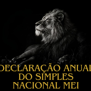 Declaração anual do MEI