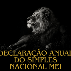 Declaração anual do MEI