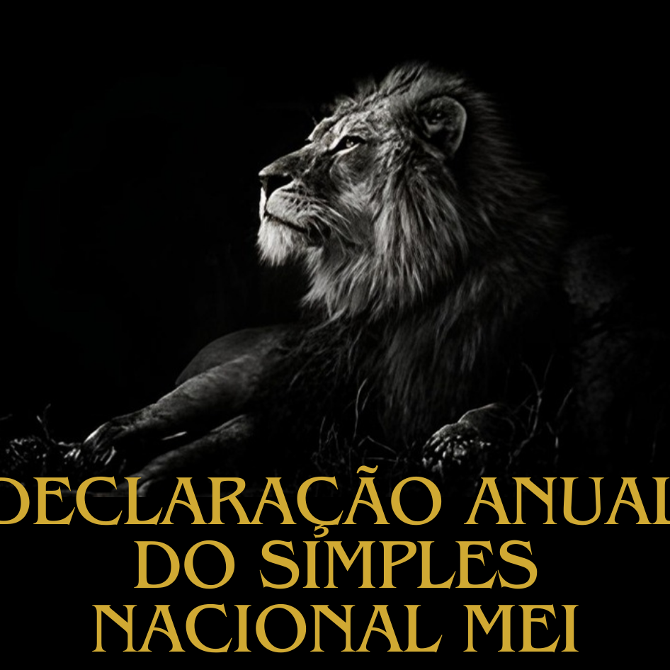 Declaração anual do MEI