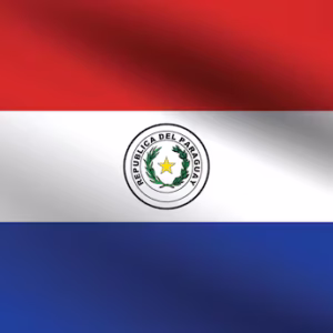 Assessoria para emissão do Visto Provisório Por Lei (Paraguai-PY)